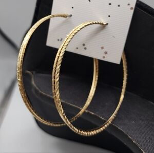 Large Gold Tone Hoop Earrings Pierced 3" Inch
